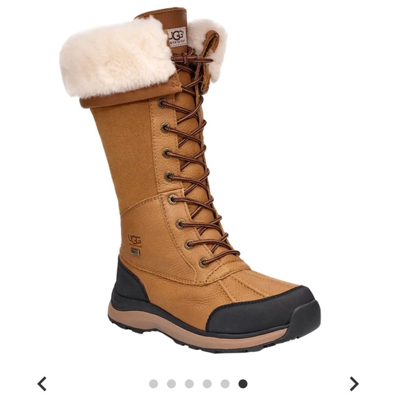 NWT UGG Women's Adirondack III Tall Boot Wool Size 9 - Picture 1 of 16
